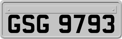 GSG9793