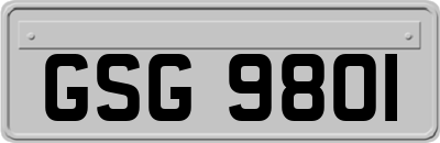 GSG9801
