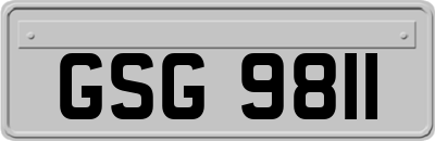 GSG9811