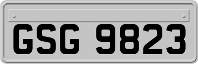 GSG9823