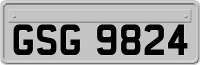 GSG9824