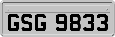GSG9833