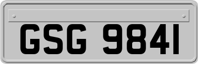 GSG9841