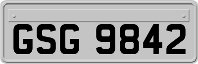 GSG9842