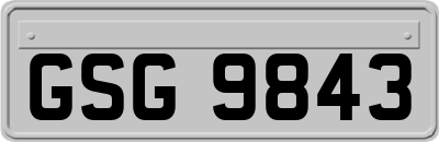 GSG9843