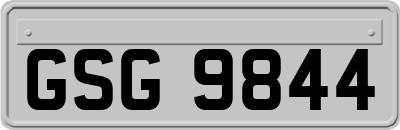 GSG9844
