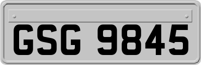 GSG9845