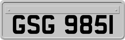 GSG9851