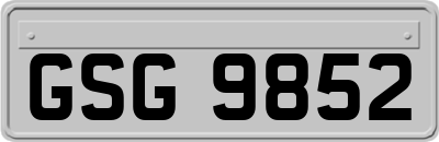 GSG9852