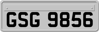 GSG9856