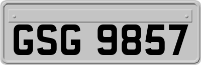 GSG9857