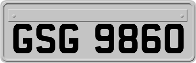 GSG9860