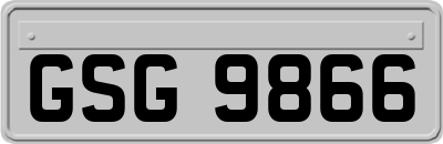 GSG9866