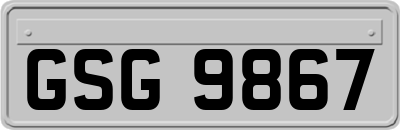 GSG9867