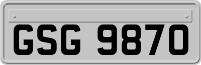 GSG9870