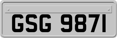 GSG9871