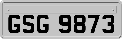 GSG9873
