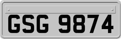 GSG9874