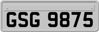 GSG9875