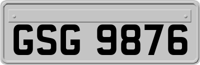 GSG9876