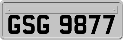 GSG9877