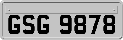 GSG9878