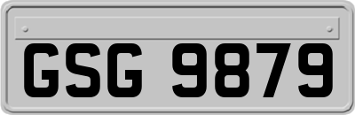 GSG9879