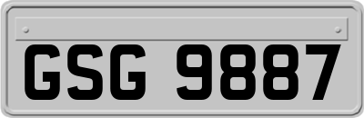 GSG9887