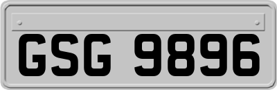 GSG9896