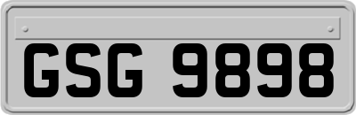 GSG9898