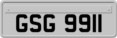 GSG9911