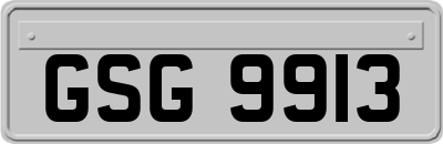 GSG9913