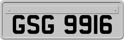 GSG9916