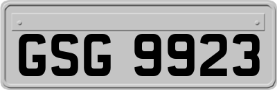 GSG9923