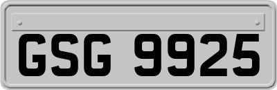 GSG9925