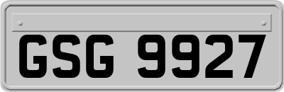 GSG9927