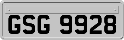 GSG9928
