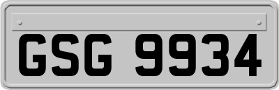 GSG9934