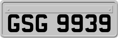 GSG9939