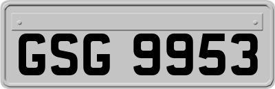 GSG9953