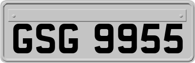 GSG9955