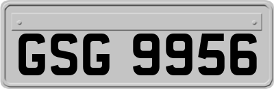 GSG9956