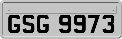 GSG9973