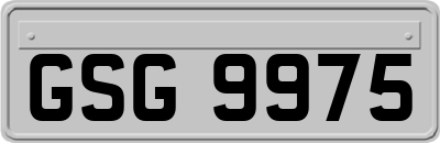GSG9975