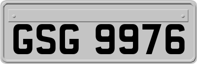 GSG9976