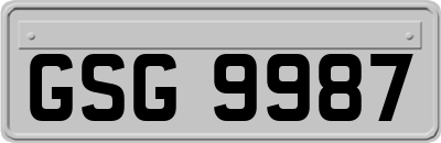 GSG9987