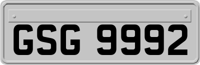GSG9992