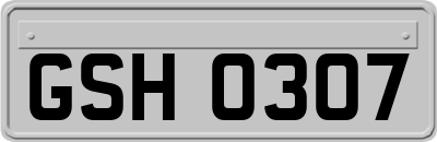 GSH0307