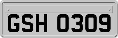 GSH0309