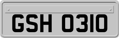 GSH0310